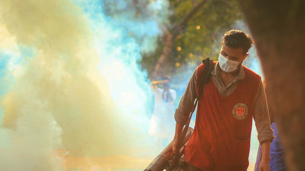 মশা নিয়ন্ত্রণ
